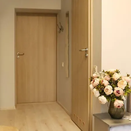 Bridge Free Parking 2*