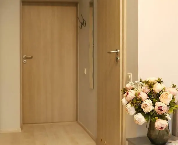 Bridge Free Parking 2*